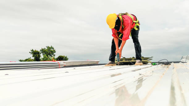 Best Roof Insulation Installation  in Bloomington, IL